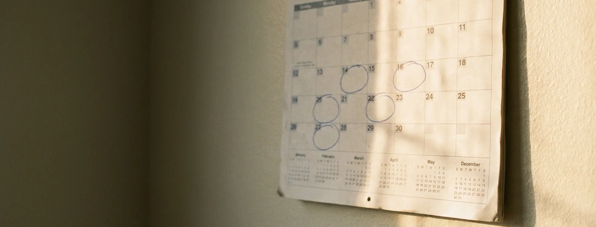 A kitchen wall calendar with several dates ringed in pen